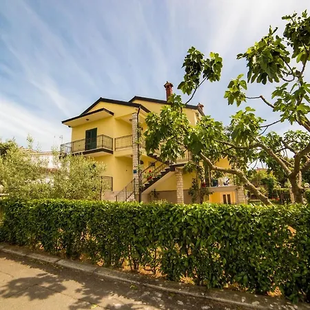 Apartman With Parking Space - 19657 *