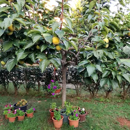 With Parking Space - 19657 Apartament Poreč