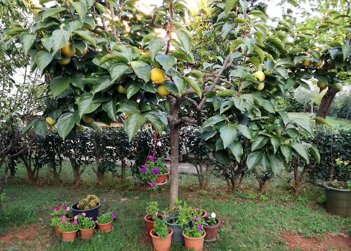 With Parking Space - 19657 Lejlighed Poreč